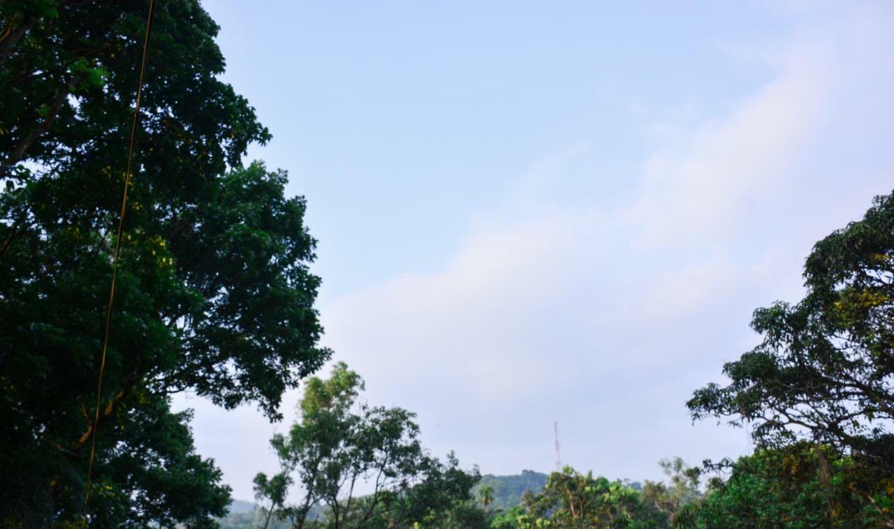 Ceylon Saradiel Home Stay Mawanella Buitenkant foto