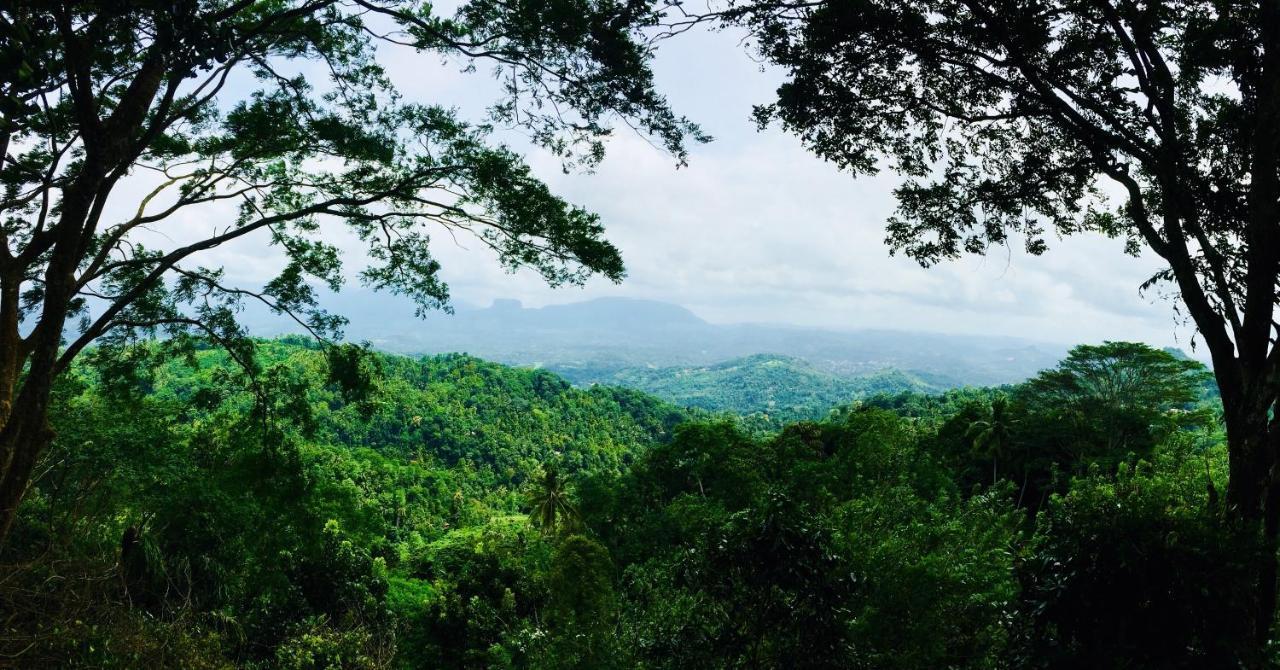 Ceylon Saradiel Home Stay Mawanella Buitenkant foto
