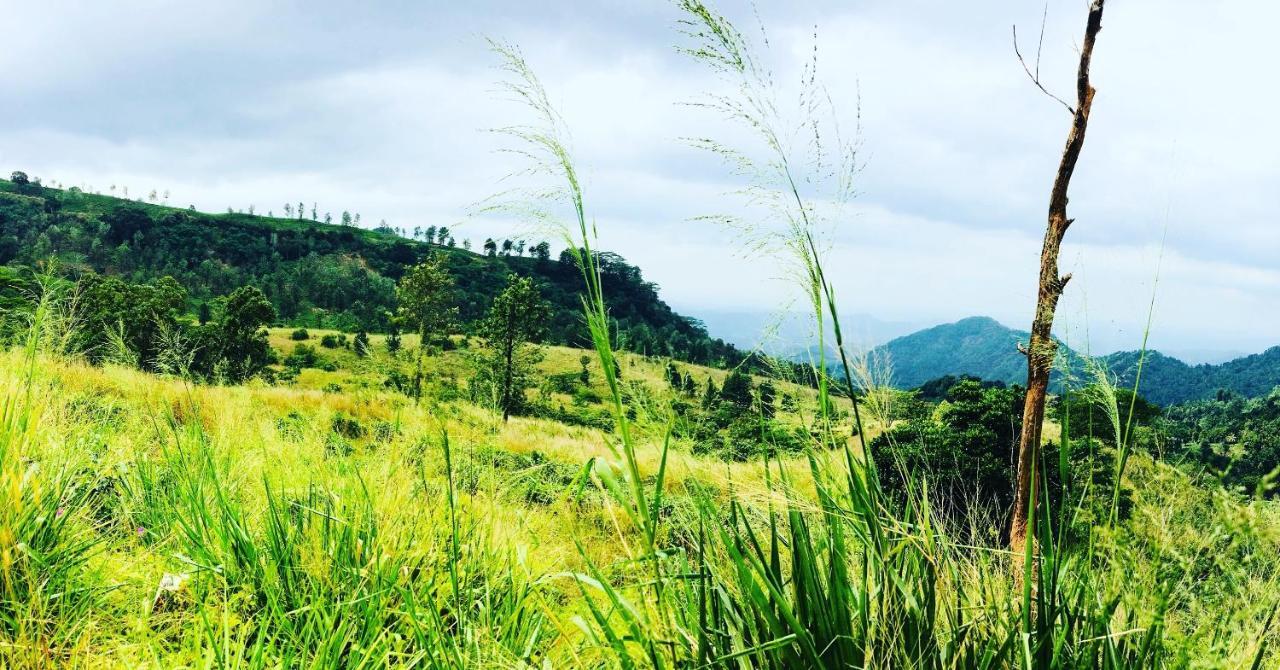 Ceylon Saradiel Home Stay Mawanella Buitenkant foto